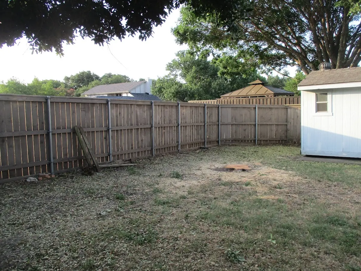 Cleared yard after professional tree removal in Lattimer Mines